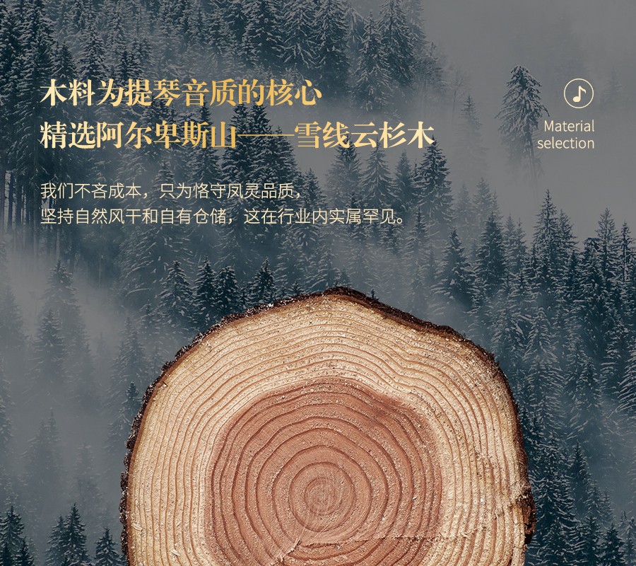 開云手機站登錄入口有限公司