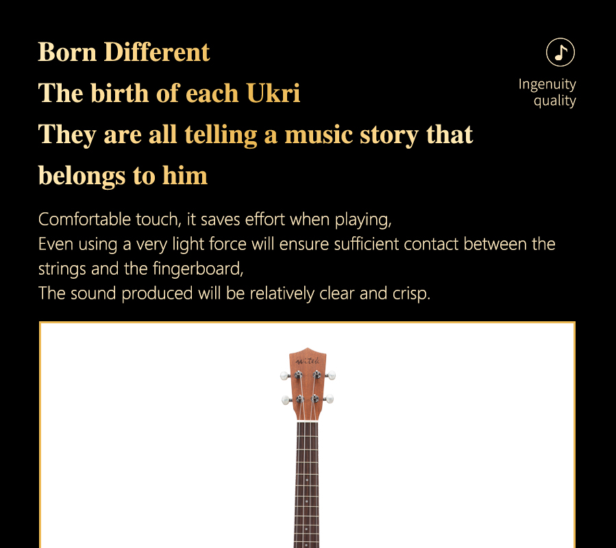 開云手機站登錄入口有限公司