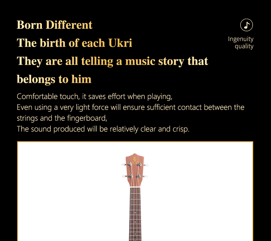 開云手機站登錄入口有限公司