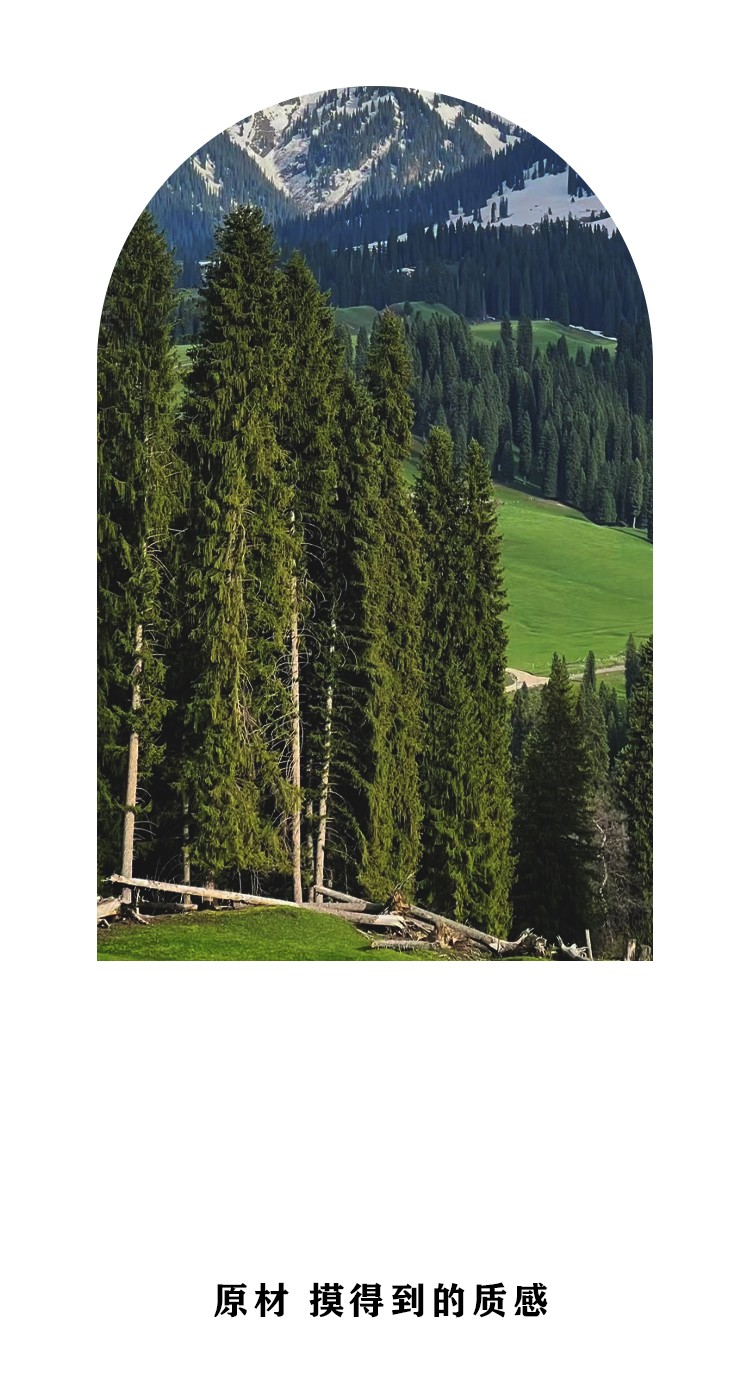 開云手機站登錄入口有限公司